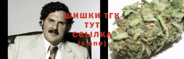 mdpv Бородино