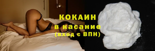 стафф Арсеньев
