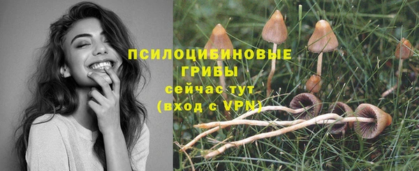 стафф Арсеньев